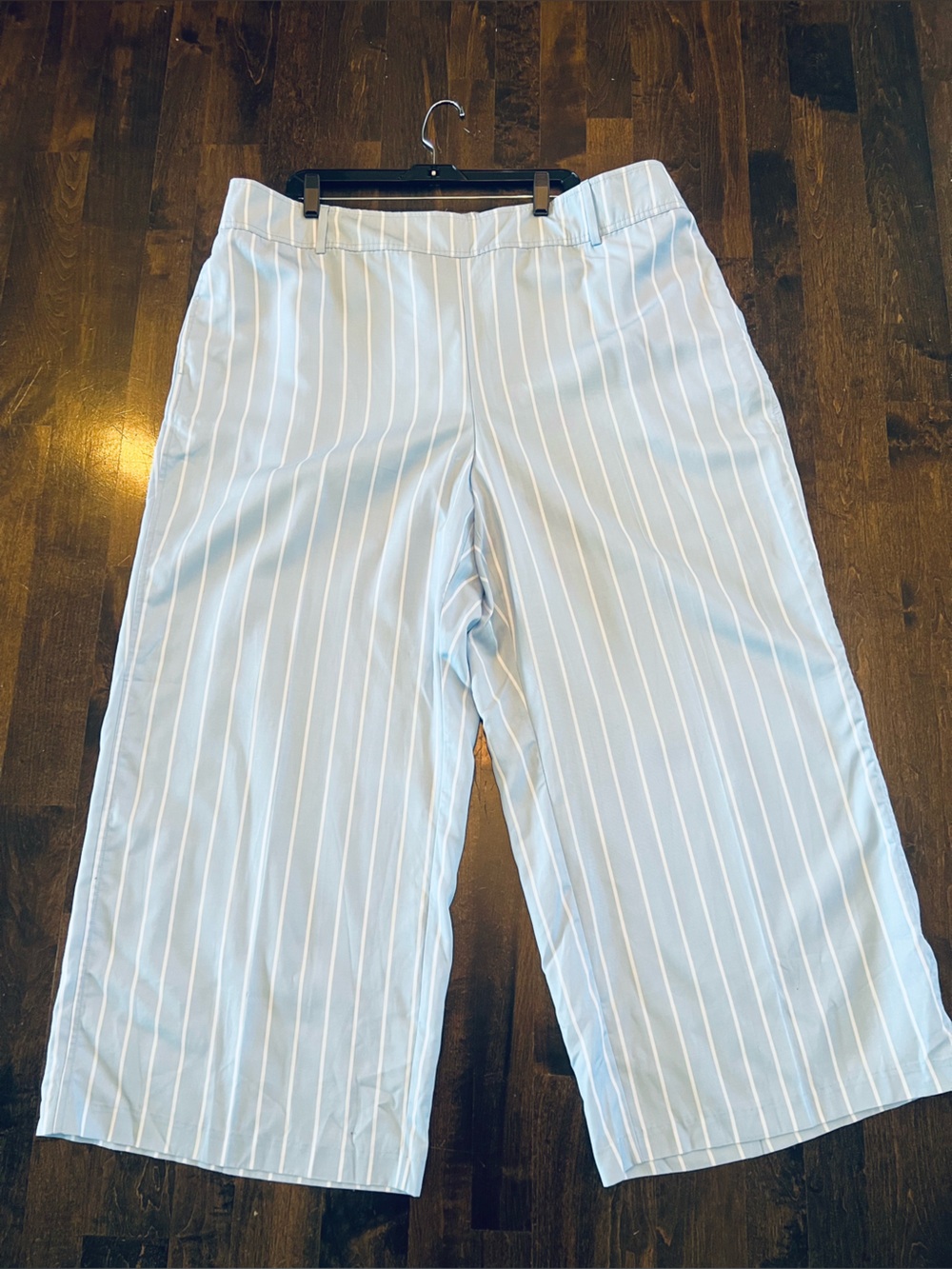 Lane Bryant Pants Woman’s Size 24P Blue White Striped Straight Mid Rise pants